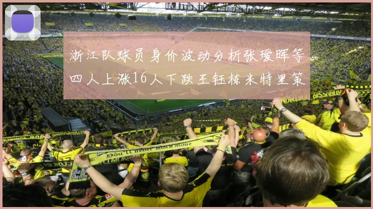 浙江队球员身价波动分析张瑷晖等四人上涨16人下跌王钰栋米特里策保持不变