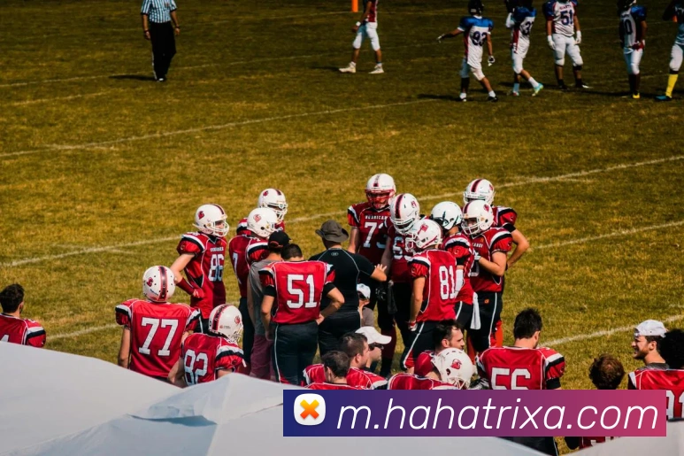 多媒体互动体验